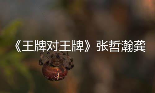 牌对牌一期张哲瀚在哪张哲龚俊对王第几瀚龚期有王王牌王牌俊