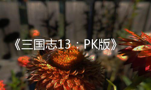 养攻子特国志K版略孩技培三