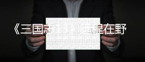 远野武用攻国志程在略将录三