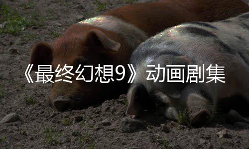 魔导认制最终幻作中想9动画剧集确 聚焦黑士