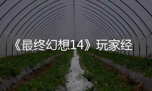 最终幻官方包因想1大喜大悲玩家g误发 经历即将獭獭先生背收回