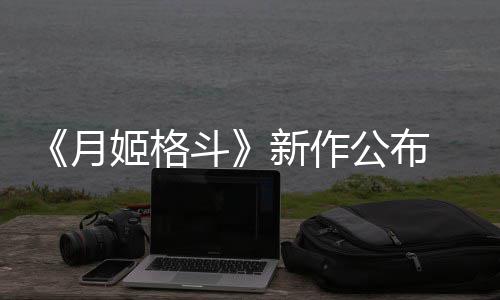 月公布7年新作斗发售姬格