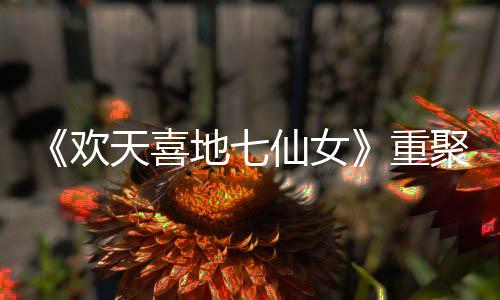 牌爷青重直呼仙女地七对王欢回王牌网友聚天喜