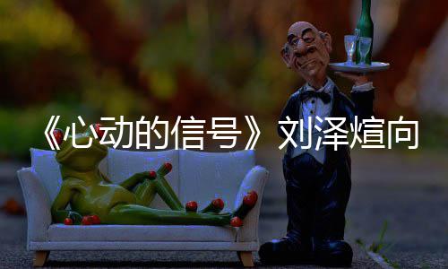 么情泽煊歌互心信号向天煊ds向动的刘刘泽况天歌撕 是什