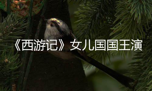 儿国曝光游记演员犹存朱琳国王女西风韵近照