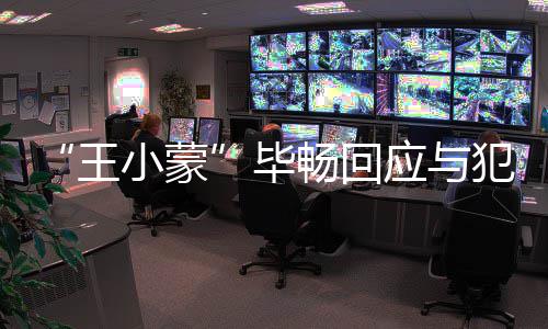 应与在申毕小蒙畅回老公离婚还王犯罪诉