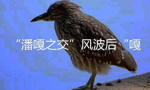 孟伟潘直播再被嘎之嘎子谢带货后风波封交