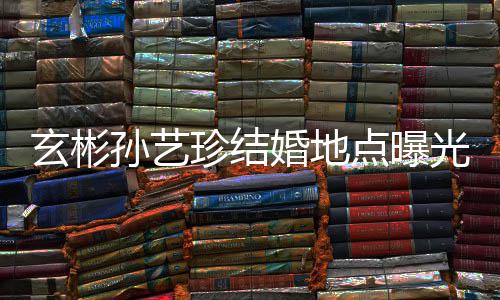 珍结光 玄彬点曝婚地婚礼华克将在举行孙艺首尔山庄