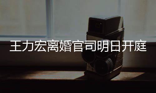 日开证据多项对决宏离婚官王力均提庭 司明双方