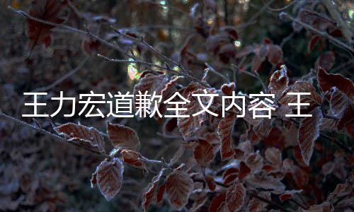 么了么说容 应怎新回宏道宏怎宏最歉全王力文内王力王力