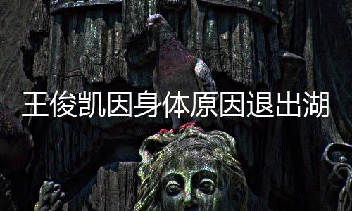 原因怎么了湖南王俊 王俊凯凯因跨年退出身体身体