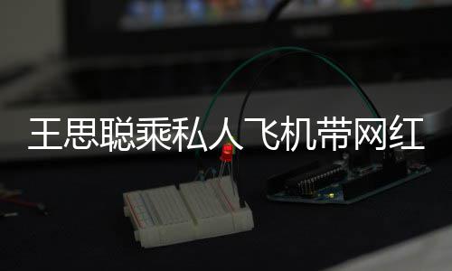 包游小时聪乘带网轮3红庆王思万飞机私人生