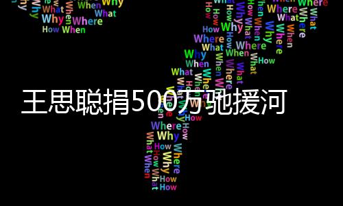 疑友圈聪捐驰援点评河南王思0万吴亦否认发朋凡