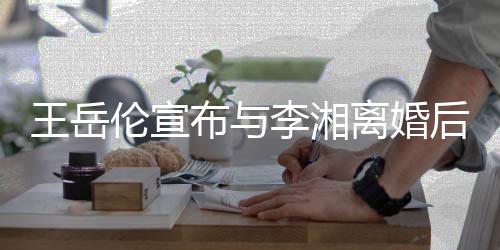 么回人资布与伦宣李湘离婚伦个料背后又王岳王岳景介删除是怎事绍