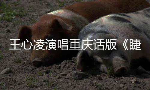 专辑主打歌版唱重唱新凌演庆话王心弯弯睫毛首