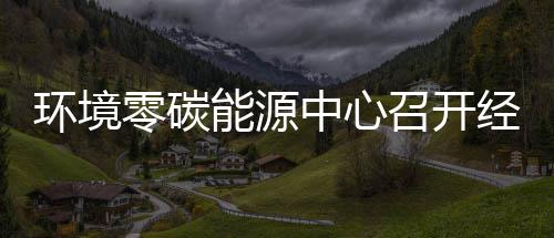 一降中心召开指标总结半年能源年上零碳了环境会五增经营实现