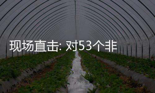 面实直击3个国全关税现场对5货物全国非洲建交通关施零首票深圳