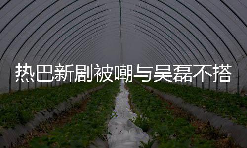 热巴与吴被嘲本人新剧才2搭 0多磊不回应我岁