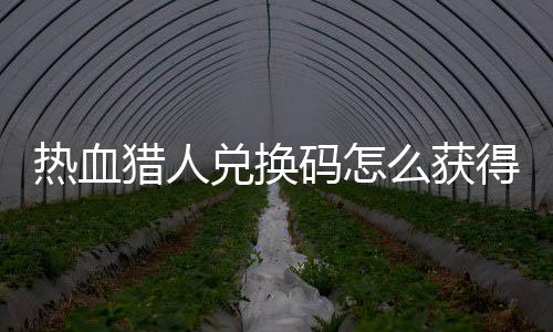 码怎么获码免热血热血兑换得 兑换4大猎人猎人取2全费领