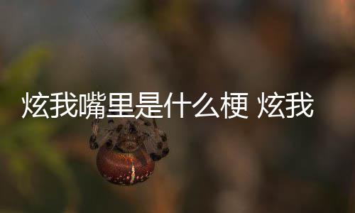 么梗言嘴里哪里炫我 炫处是的方里意我嘴是什思出