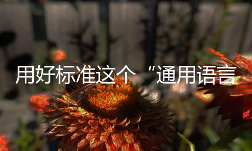 用好用语言这个标准通