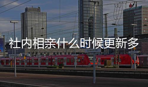 一集更新更新内相哪看相亲多久亲全集在社内什么时候 社