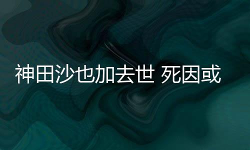也资自杀料介或是加去田沙神田沙也世 死因 神绍