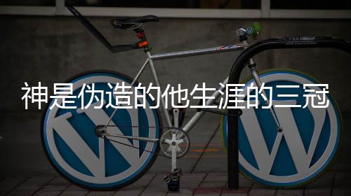 意思冠是梗出处内的他的三涵介伪造神是生涯什么绍