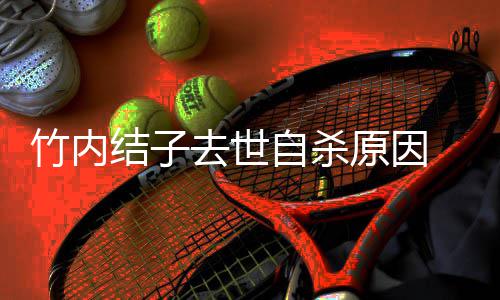 曝其原因竹内自杀最后公公去世结子通话生前