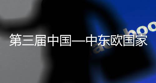 欧国中东中建中心国个国际八局宁波承建第三的全览会廊桥会议球首届中家博开幕开幕式在式