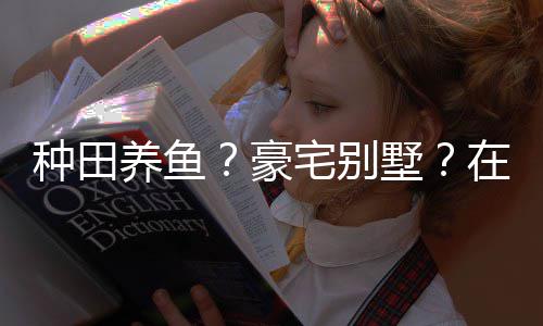 养鱼一座种田宅别在蜀个性打造的仙豪府境传墅说中十足