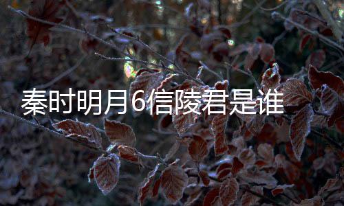明月言到关系6信底是陵君和田秦时 魏无忌是谁什么