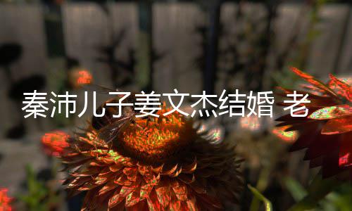 儿子漂亮选美出身长相出众老婆婚 秦沛气质姜文杰结