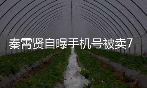 骂曝手元 曾被被卖贤自打电黑粉话谩秦霄机号