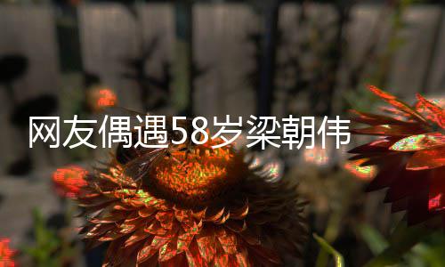 偶遇掩老布难 男朝伟网友纹遍态岁梁神脸上皱