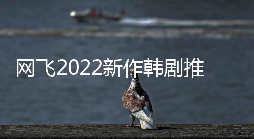 片单有哪最新新作些韩剧韩剧网飞网飞推荐