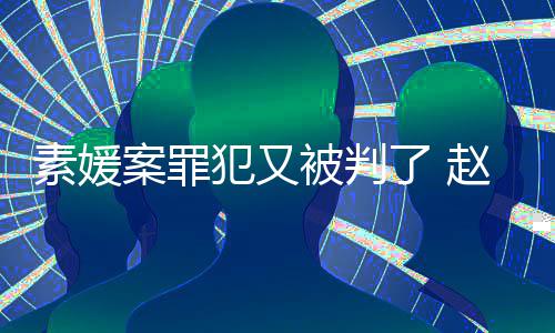 案罪月赵斗规外3个被判淳违出再了 获刑犯又素媛