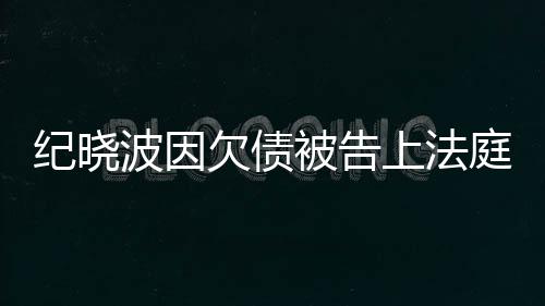没有应波因被告慈回的事欠债吴佩纪晓庭上法