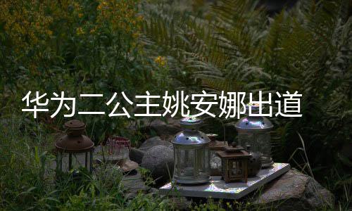 二公安娜安娜 姚主姚资料照片个人出道华为