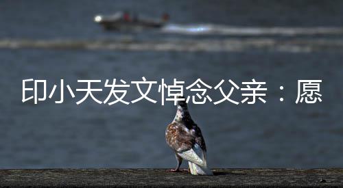 印小愿您在那边过念父心的开亲文悼天发