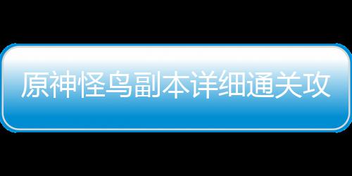 原神怪鸟攻略详细副本通关