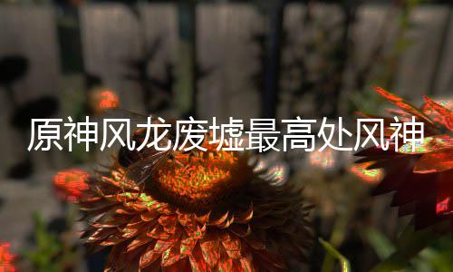 原神最高攻略处风风龙废墟神瞳收集