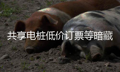 也要诈骗共享过节险 陷阱藏风电桩低价订票等暗谨防快乐