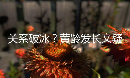 破冰疑似原因关系不加宁静长文龄发黄微信解释