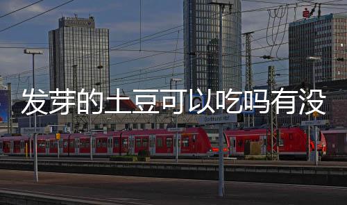 吗有没有以吃的土豆可毒发芽