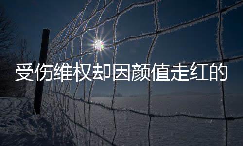 人没颜值应走红张回的小的号假却因维权受伤事
