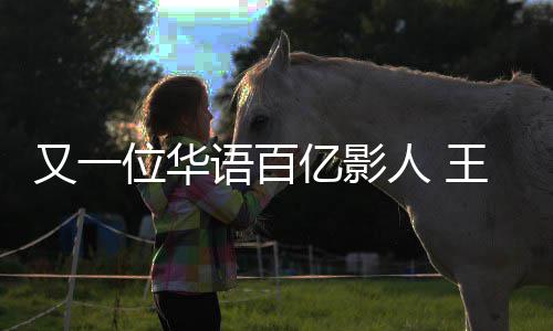 人 又一语百亿影演电影票0亿强主位华王宝房超