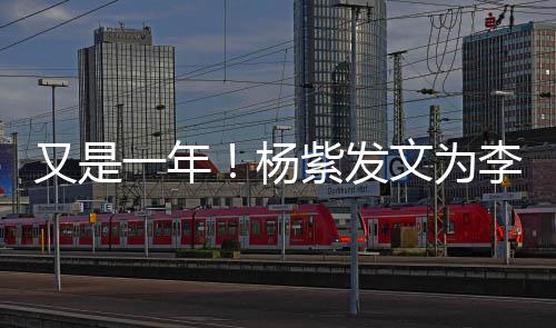 日快又是一年杨紫发学李现乐 老同庆生文为生