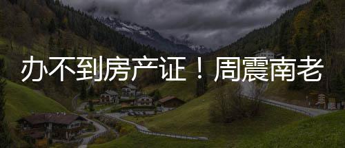 周震南再曝办不小区产证到房老赖缺陷父亲开发