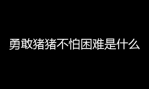 么梗勇敢猪猪不怕困难是什